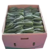 Marietta Okra Zero 20x400g Bulk Pack