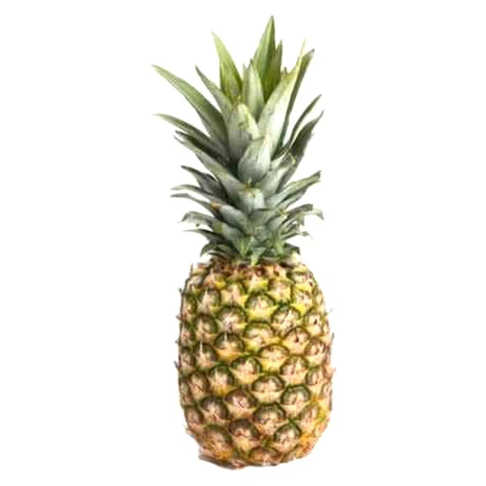 Gold Pineapples Supplier, Exporter & Grower - U.S. & Europe
