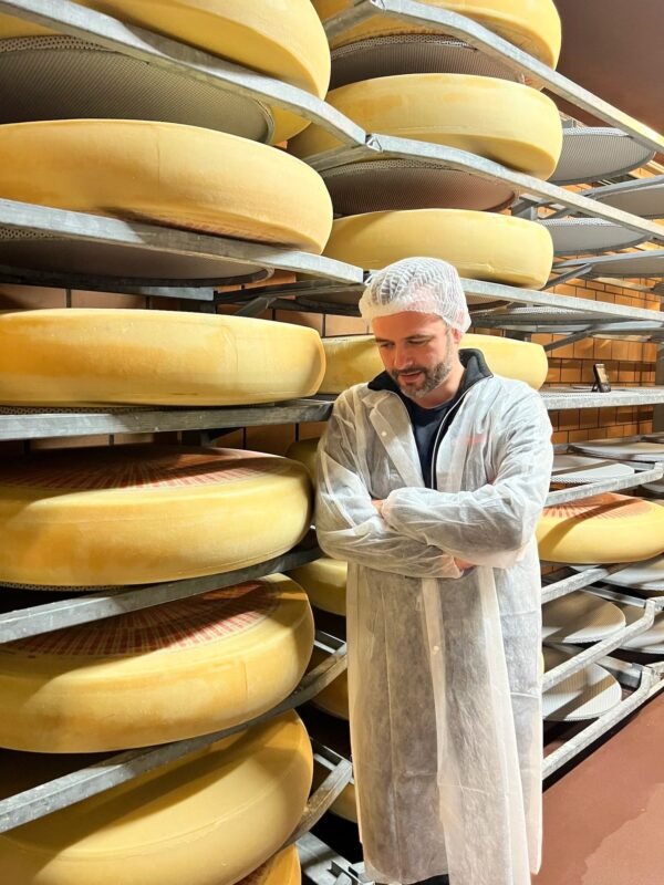 Close-up of rich and nutty Emmental Cheese.