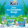 Kiri Spreadable Cream Cheese Squares 864g Kiri Spreadable Cream Cheese Squares 864g
