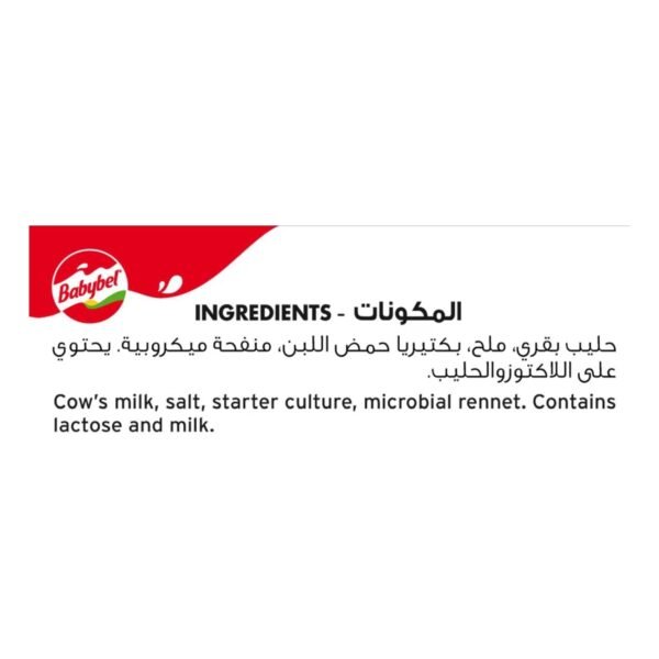 Mini Babybel Cheese Bulk Supplier Mini Babybel Cheese Bulk Supplier