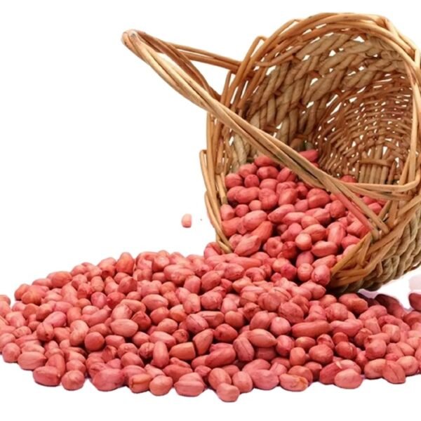 100 Natural Blanched Dried Peanuts Premium