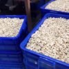10kg Ready to Ship Organic Vacuum 10kg Ready to Ship Organic Vacuum