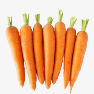 2018 Crop Best Selling ISO Certified