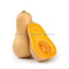 2021 Fresh Butternut Squash for sale