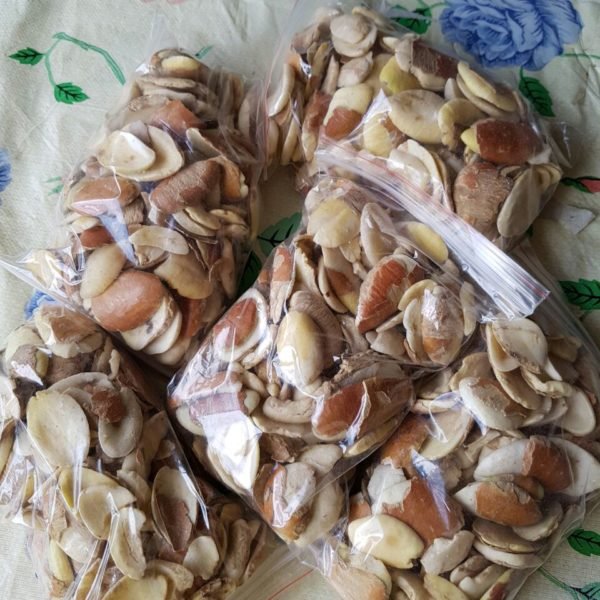 2021 Premium Dried Pecan Nut Available