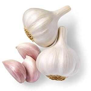 2023 IQF FROZEN GARLIC ORIGIN VIETNAM