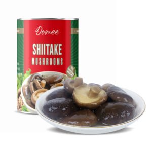 2024 Factory Hot Sale Organic Shiitake
