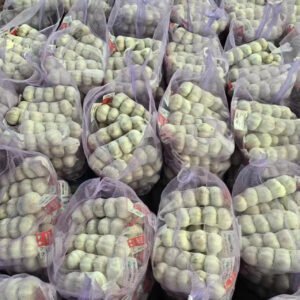 2026Crop CIF Price to Valparaiso Chile