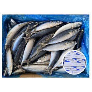 300 500 W R Frozen Mackerel