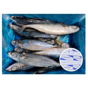 300 500Grams China Origin Seafood Frozen