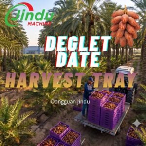 39X59X7cm-Yellow-Virgin-HDPE-Harvest-Crate-for-Medjool-Date-Stacking-Strength-2.jpg China 39X59X7cm Yellow Virgin HDPE Harvest Crate for Medjool Date Stacking Strength