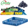China 39X59X7cm Yellow Virgin HDPE Harvest Crate for Medjool Date Stacking Strength