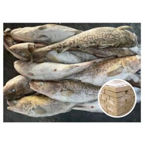 400 800g 500 1000g Origin Japan