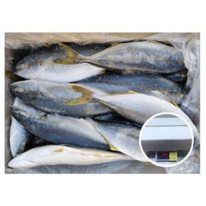 500 700G FROZEN YELLOW TAIL FISH