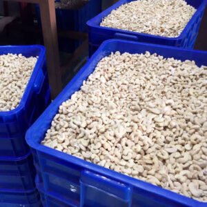 Factory Supply Organic Cashew Nuts Hot