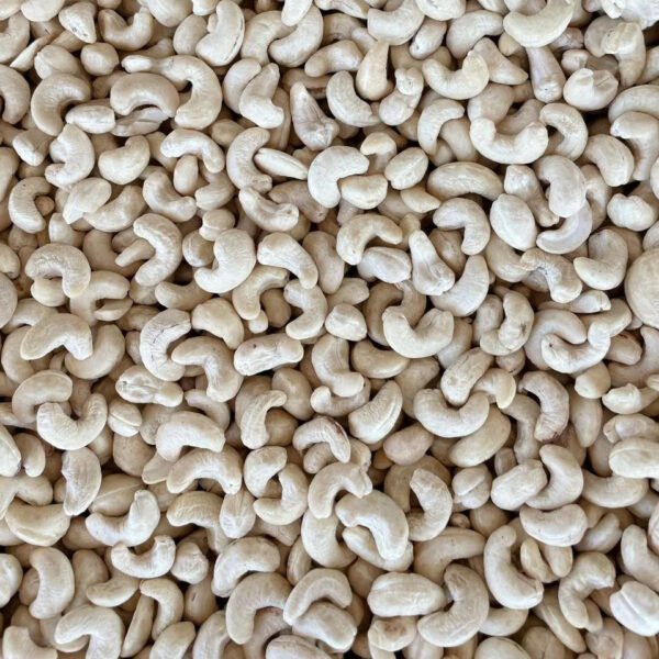 WHITE CASHEW NUT KERNELS CASHEWNOTTER W240