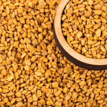 FitTree International High Quality Dried Fenugreek