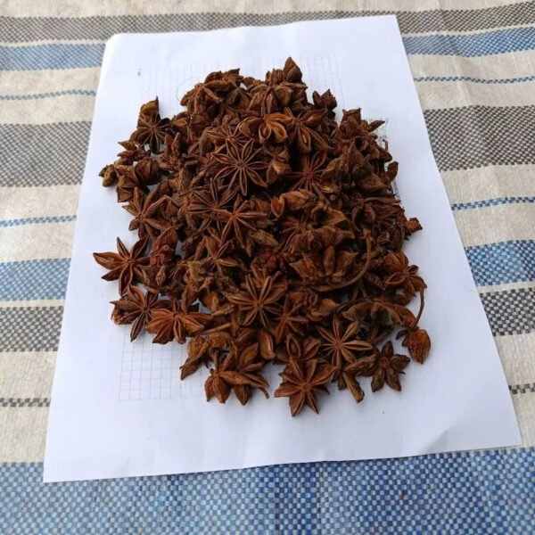 Cheap Price Vietnam Manufacturer Supply International