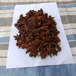 Cheap Price Vietnam Manufacturer Supply International