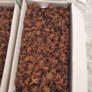 High Quality Single Spice Seasoning Powder
