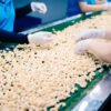 A9949e221f0af412f9688a82c5448b3f33 CASHEW NUT WW320 WW240 LOWEST RATE