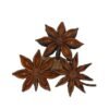 Vietnamese AD Dried Star Anise Seed