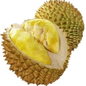 KING Fresh Tropical Grade Durian Fruit High Nutritional Value Frozen Puree Dietary Fiber Premium Quality Natural Sweet C