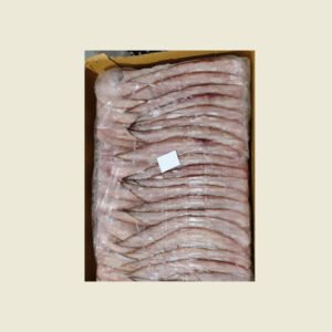 Fresh Salmon Fish Frozen Fresh Catch