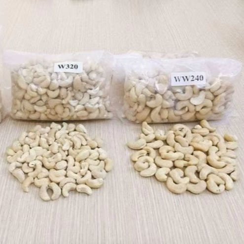 Vietnam Cashew Nuts Cashew Kernels WW320
