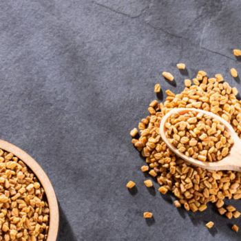Premium Organic FitTree International Raw Fenugreek
