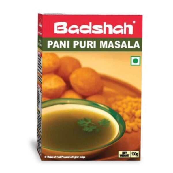 Badshah Pani Puri Masala, 100g – Wholesale & Export UAE