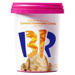 Baskin Robbins Hokey Pockey Ice Cream 500ml – Wholesale & Export UAE