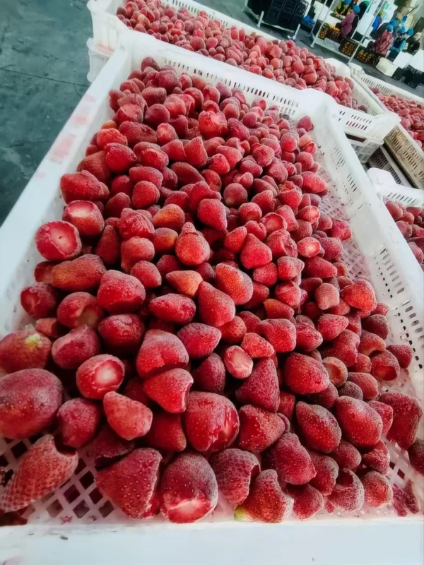 China Factory Wholesale Naturally Sweet Ripe Whole Clean Juicy IQF Frozen Strawberry