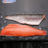Frozen Chum Salmon Fillet Wholesale