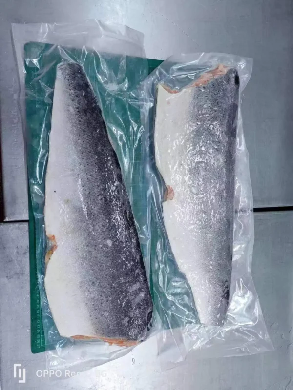 Frozen Chum Salmon Fillet Wholesale