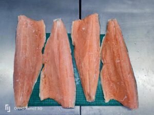Frozen Chum Salmon Fillet Wholesale