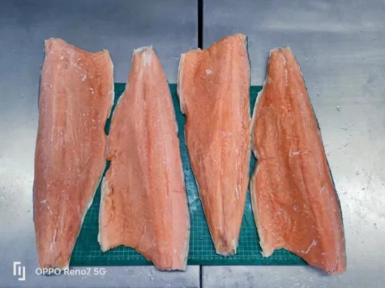 Frozen Chum Salmon Fillet Wholesale