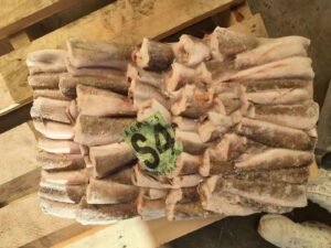 Frozen Hake Fish Fresh Merluccius Codfish Fillets