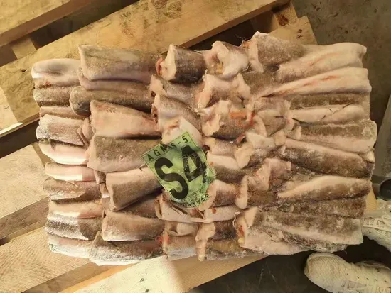 Frozen Hake Fish Fresh Merluccius Codfish Fillets