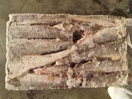 Frozen Hake Fish Fresh Merluccius Codfish Fillets