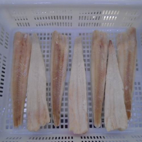 Frozen North Pacific Hake Fillet