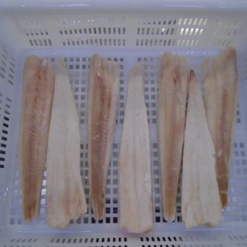 Frozen North Pacific Hake Fillet