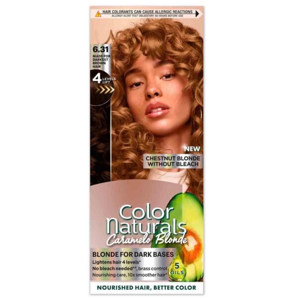 Garnier Color Naturals Hair Color 6.31 Chestnut Blonde Permanent Hair Dye With Nourishing Oils – Wholesale & Export UAE