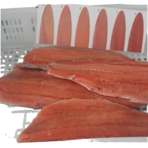 Frozen Pink Salmon Fillet High Quality