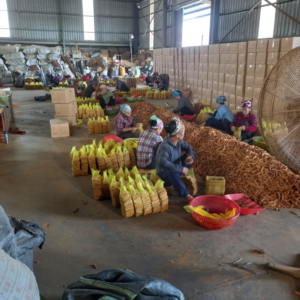 MKPRO Cassia High Quality Food Grade