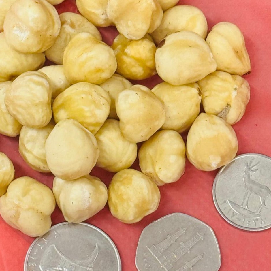 Hazelnuts wholesale UAE bulk export