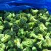 Natural-IQF-Frozen-Broccoli-Pieces-9.webp China Natural IQF Frozen Broccoli Pieces