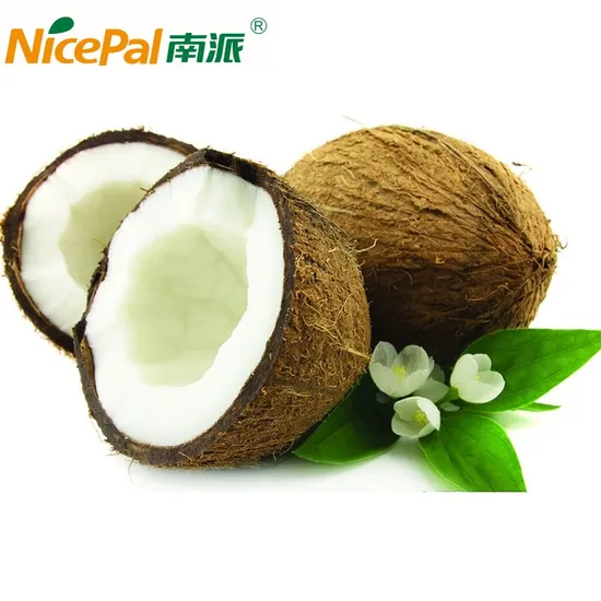 China Natural Spray Dried Coconut Powder Coconut Milk Powder Coconut Juice Powder