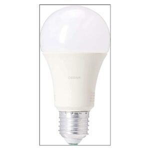 Osram 10W LED Classic Day Frosted Screw Bulb – Wholesale & Export UAE